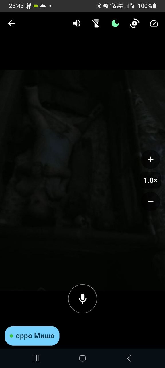 Real Baby Monitor interface mobile live view