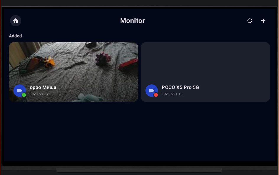 Real Baby Monitor interface desktop